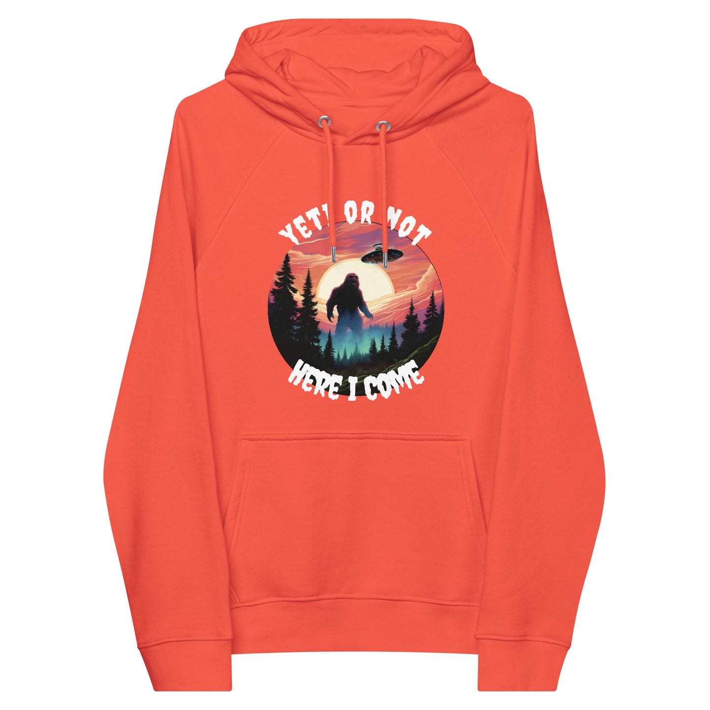 Yeti or not here I come hoodie