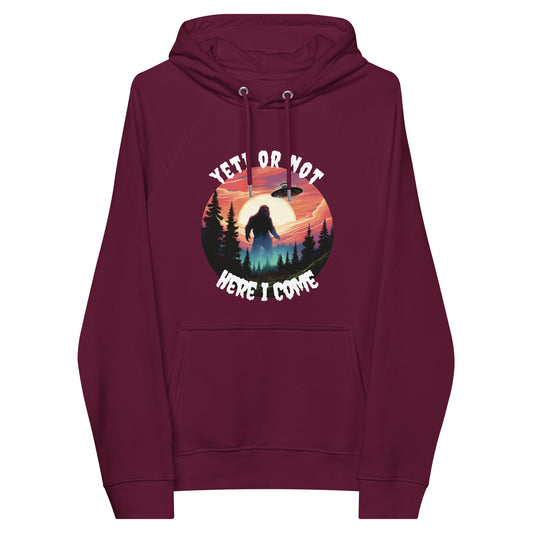 Yeti or not here I come hoodie