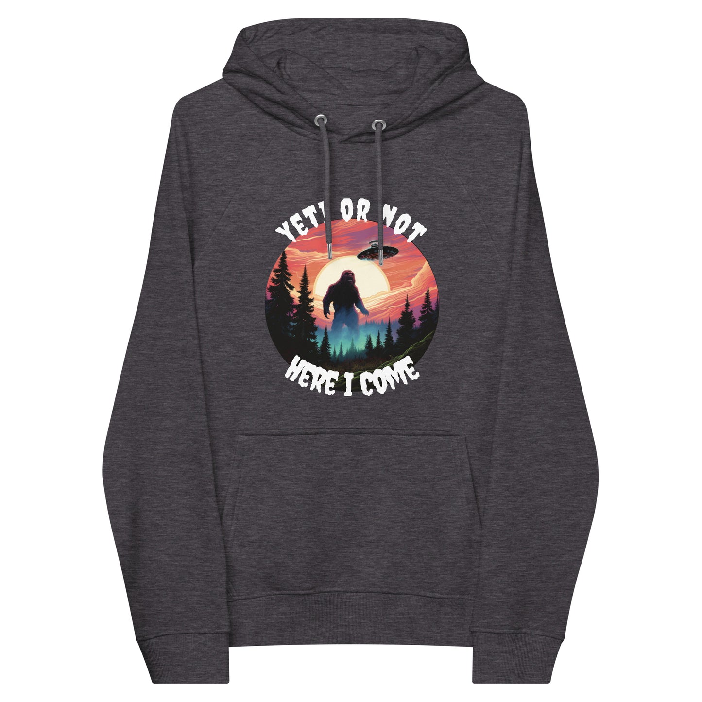 Yeti or not here I come hoodie